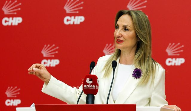 CHP'li Nazlıaka: Çalışma hayatında yükselmek istiyoruz