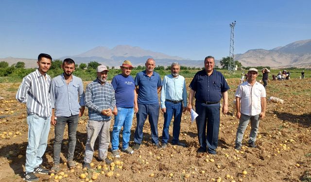 CHP'li Gürer: Yazlık patates üreticisi kan ağlıyor