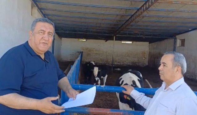 Gürer: Dana eti ithalatı 18 kat arttı