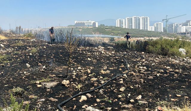 İzmir'de orman yangını kontrol altına alındı