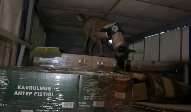 Kamyonetin kasasında 9 kilo kokain ele geçirildi