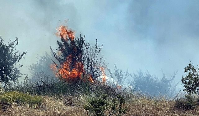 Manisa Turgutlu'da çıkan orman yangını, 2,5 saatte kontrol altına alındı