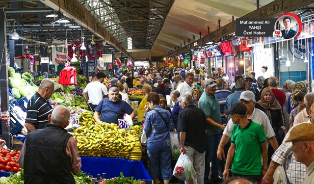 Halde meyve fiyatları cep yakıyor