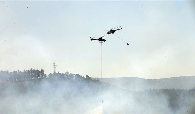Yangınlarla mücadele kapsamında Tarım ve Orman Bakanlığı koordinasyonunda "Risk Yönetim Ekibi" oluşturuldu