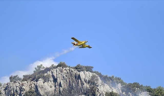 Orman yangınlarının çoğu aynı gün kontrol altına alındı