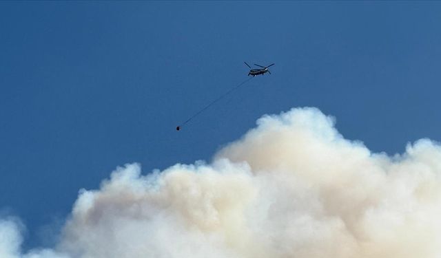 Sakarya, Bilecik, Eskişehir ve Afyonkarahisar'daki yangınlar kontrol altında, Karabük ve Antalya'da müdahaleler sürüyor