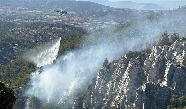 Muğla'da bu yıl çıkan orman yangınlarının yüzde 88'i insan kaynaklı