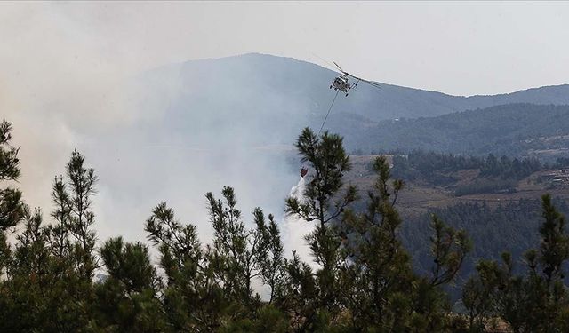 Bursa, Uşak, Mersin ve Kahramanmaraş'taki orman yangınlarına müdahale sürüyor