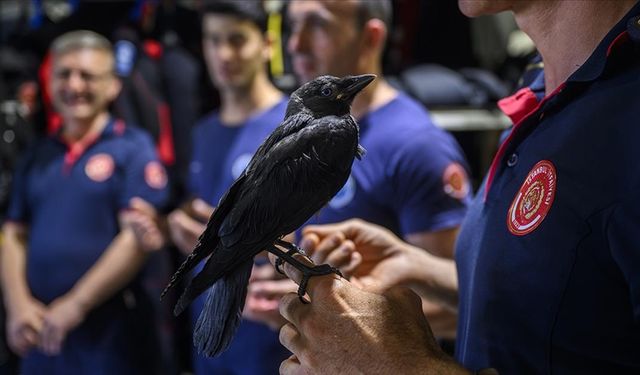 İtfaiye erleri tarafından kurtarılan "Zeytin" isimli karga istasyonun maskotu oldu
