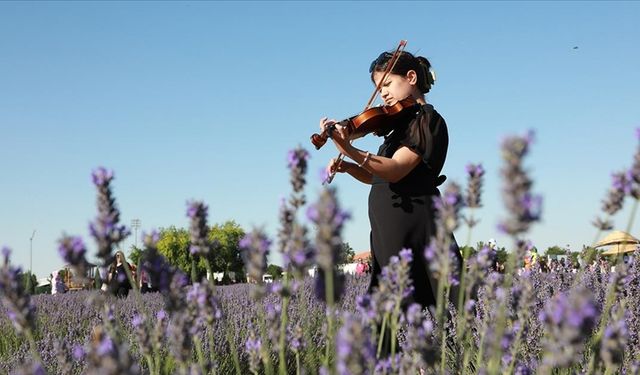 Konya'da "Karatay Lavanta Festivali" düzenlendi