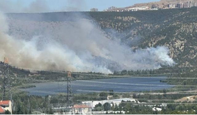 Eymir'de orman yangını
