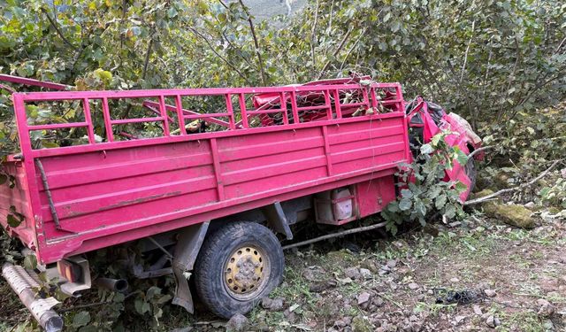 Giresun’da fındık işçilerini taşıyan kamyonet şarampole yuvarlandı: 4 ölü 1 yaralı