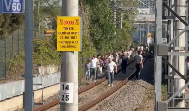 Marmaray hattına ağaç devrildi, yolcular demir yolunda yürüdü