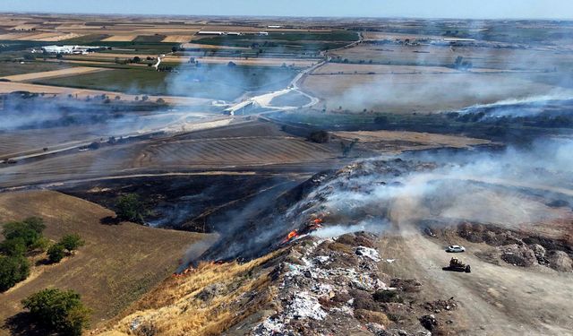 Kırklareli'de anız yangını; TEM ve D-100 bir süre trafiğe kapatıldı