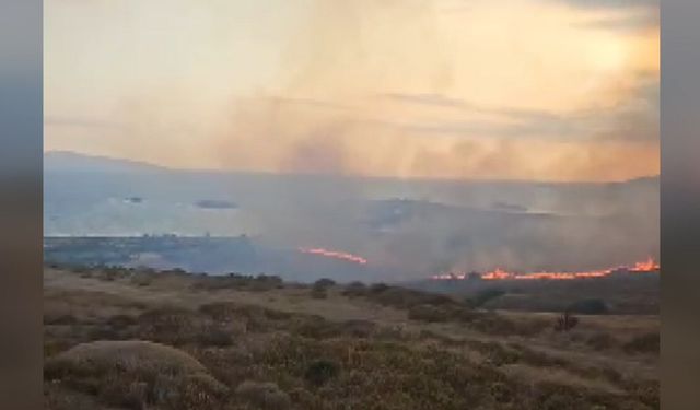 Paşalimanı Adası'nda makilik yangını; 20 dönümlük alan yandı