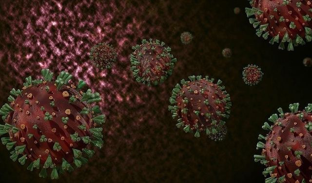 DSÖ: Afrika'da yaygın M çiçeği virüsüne karşı sürekli bulaşma riski nedeniyle hedefli aşılama şart
