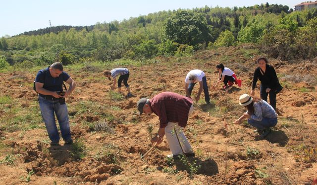 "Yanan orman alanlarında fidan dikiminde acele edilmemeli”