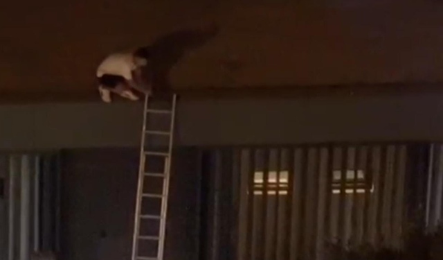 Konseri izlemek için çıktığı çatıdan atıldı, savcılık soruşturma başlattı
