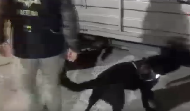 Bulaşık makinesinde 53 bin uyuşturucu hap ele geçirildi