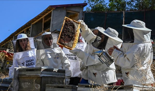 Devlet desteğiyle arıcılığa başlayan kadınlar merada kara kovan balı üretiyor