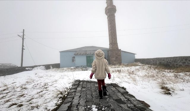 Ardahan ile Kars'ın yüksek kesimlerine kar yağdı