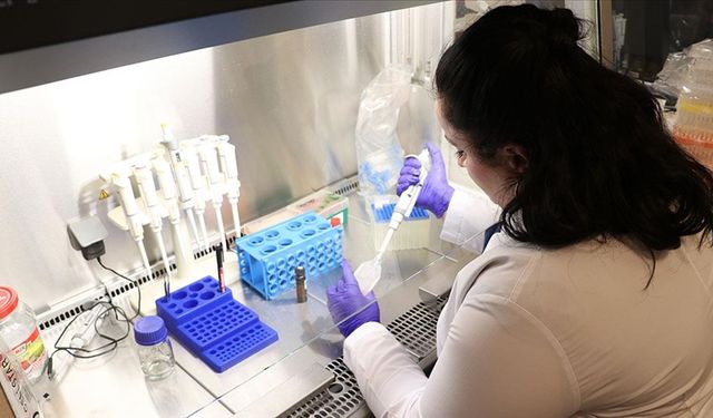 Bağırsak hastalıklarının tedavisi için Kütahya'da bor mineralli ürün geliştirildi