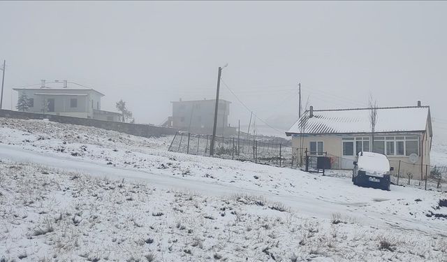 Doğu Karadeniz'in yüksek kesimleri beyaza büründü