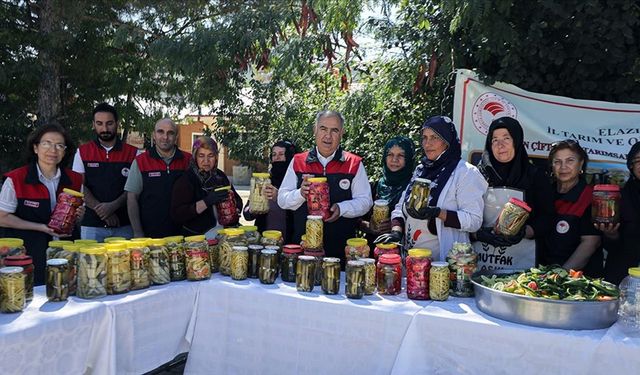 Kadın çiftçiler devlet desteğiyle ürettikleri sebzeyi turşuya dönüştürerek gelir elde ediyor