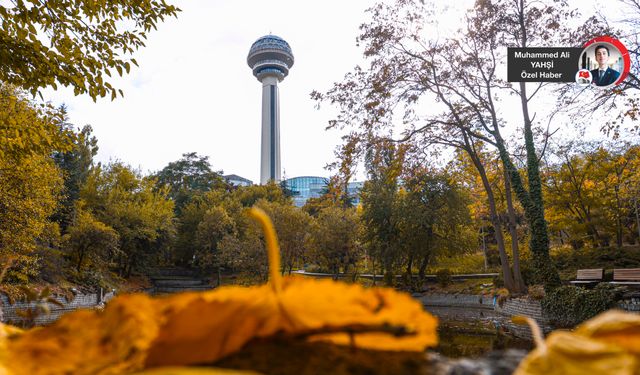 Botanik Park sonbahar renklerine büründü