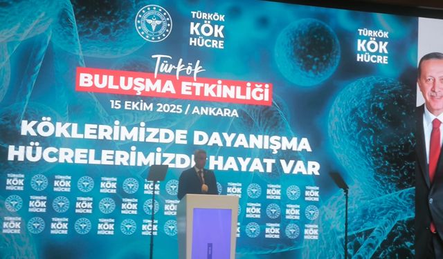 Türkökle 7 bin 500 hastaya kök hücre sağlandı