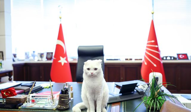 Özgür Özel'den 4 Ekim Dünya Hayvanları Koruma Günü paylaşımı