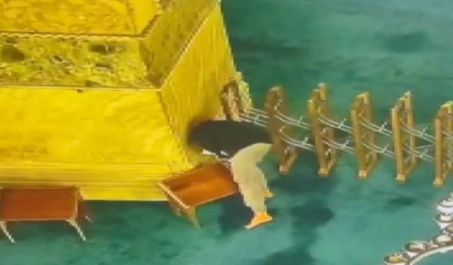 Ayasofya Camisi'ne kundaklama girişiminde bulunan şüpheliye 13 yıla kadar hapis talebi