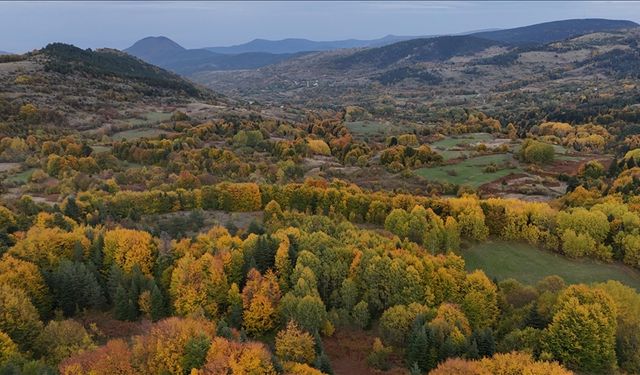 Sinop'ta sonbahar renkleri hakim oldu