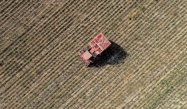Geçen yıl 105 tarımsal amaçlı kuruluş "birinci derece örgüt belgesi" aldı