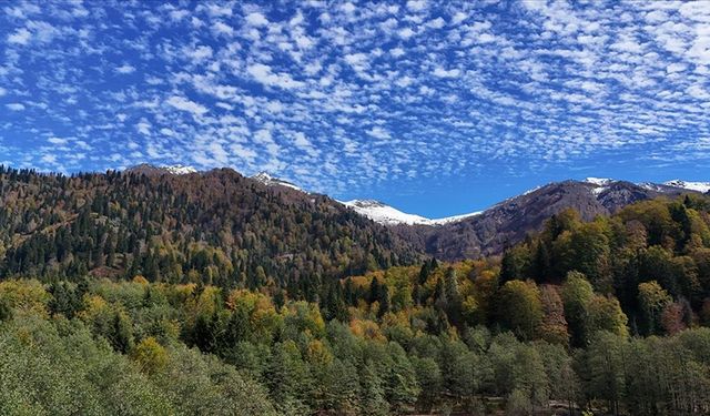 Artvin'deki Borçka Karagöl Tabiat Parkı sonbahar renklerine büründü