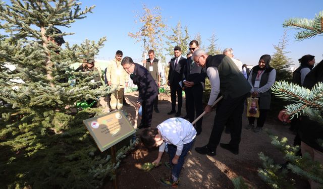 OGM: 30 milyon fidan sahiplenildi
