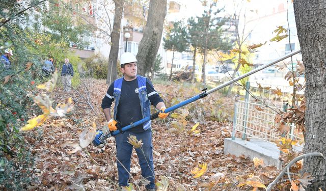 Mamak’ta sonbahar budama çalışmaları sürüyor