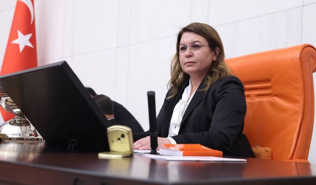 CHP’li Biçer Karaca’dan TİHEK’e: Kadının soyadı, cezaevi, çocuk işçiliği soruları