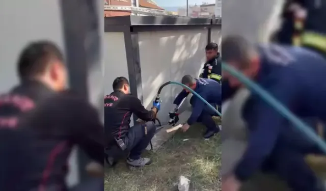 Osmaniye’de konteyner altında mahsur kalan yavru kedi kurtarıldı