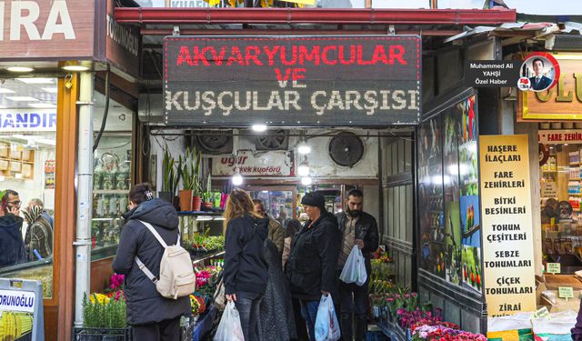 Başkentin en cıvıltılı çarşısı