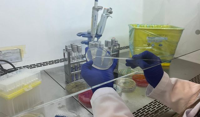 Ankara'da yılda 1 milyon 800 bin gıda analizi