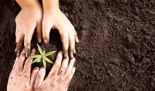 Milli Ağaçlandırma Günü 11 Kasım’da rekor kırıldı