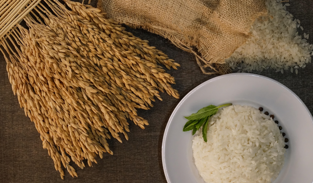 İpsala pirinci, AB Coğrafi İşaret Tescili aldı