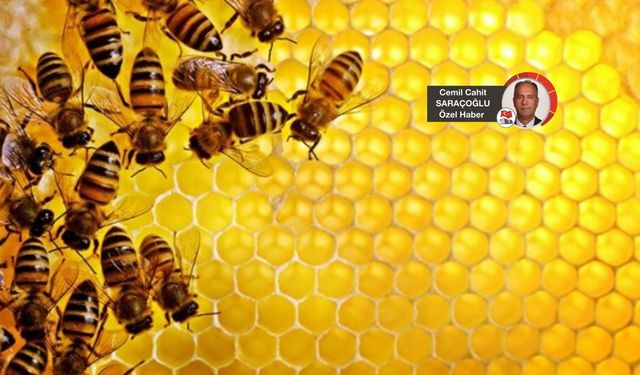 Ankara balı Sultan Mehmed’in kiler defterine girmişti