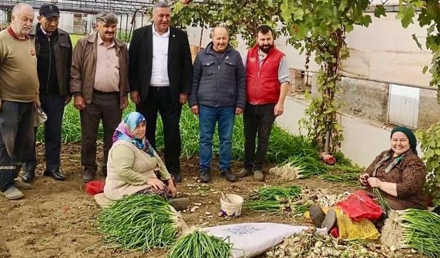 Gürer: İktidar çiftçiyi topraktan koparıyor