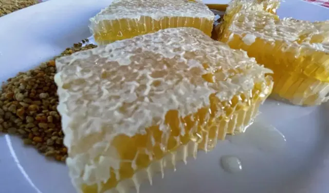 Türkiye’nin AB tescilli 43’üncü ürünü Yenice ıhlamur balı oldu