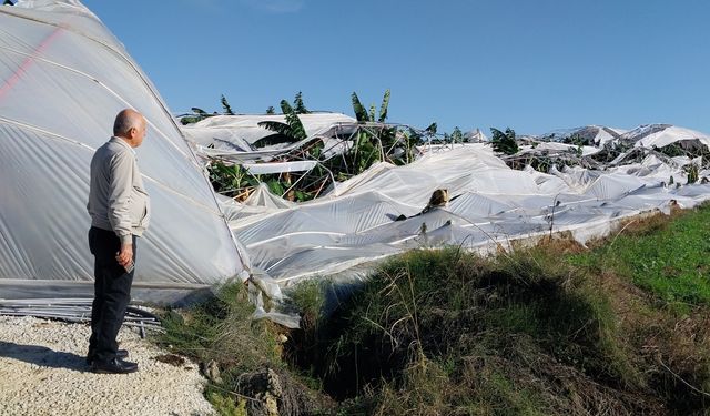 Manavgat'ta hortum, seralara zarar verdi