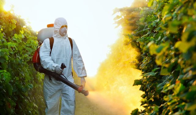 “Korsan ilaçlamaya karşı yaptırım şart”