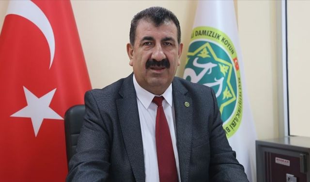 TÜRKYED Başkanı ÇELİK: Yeni hayvancılık destekleri tebliği sektöre umut verdi