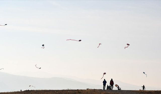 Tarihi Hasankeyf ilçesinde uçurtmalar hakları ihlal edilen çocuklar için uçuruldu